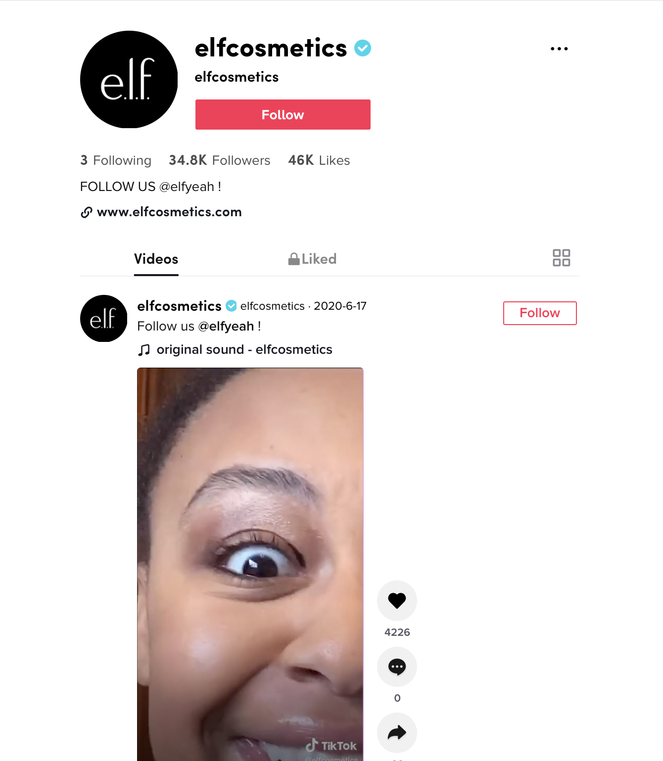 ELF Cosmetics TikTok