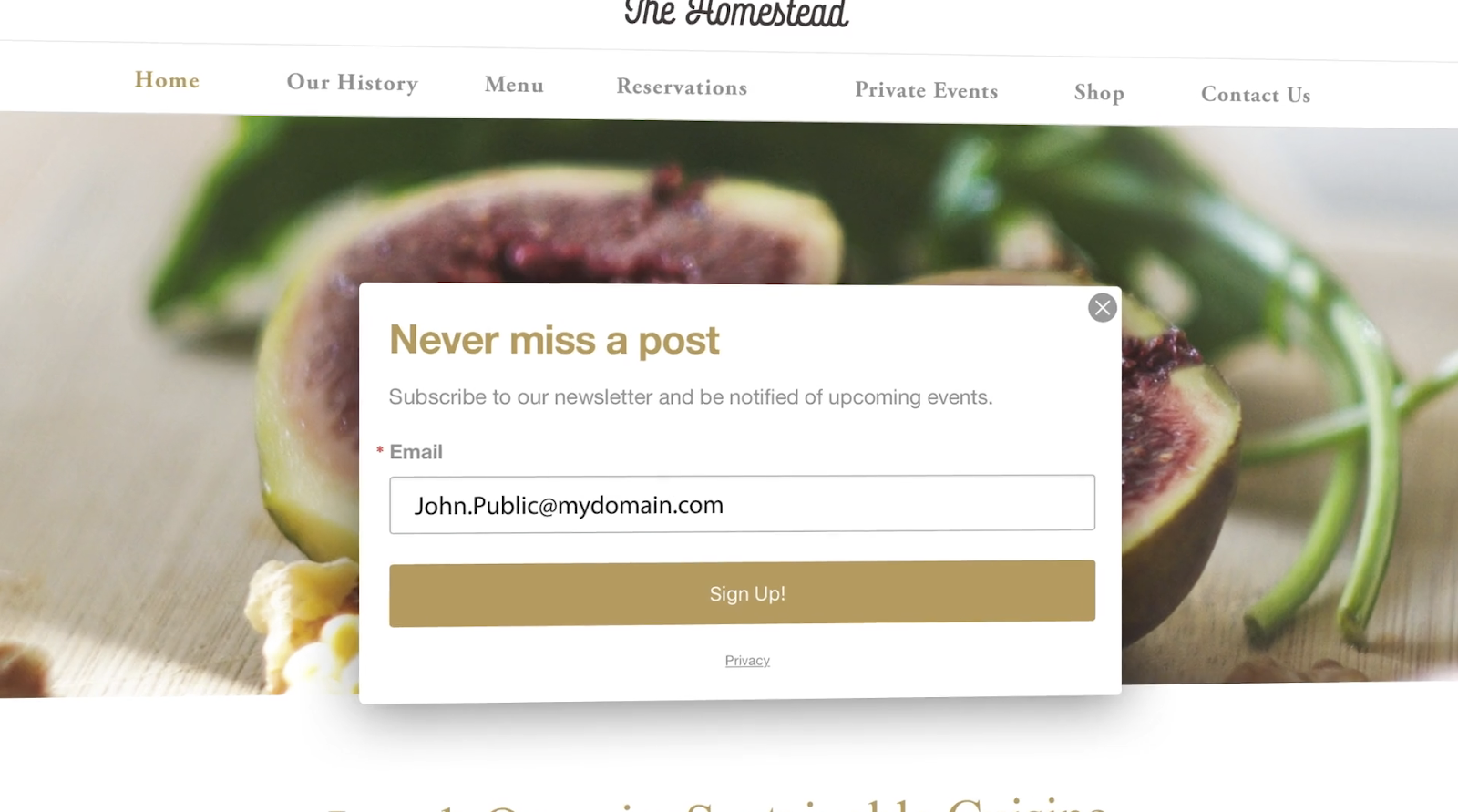 email marketing software 