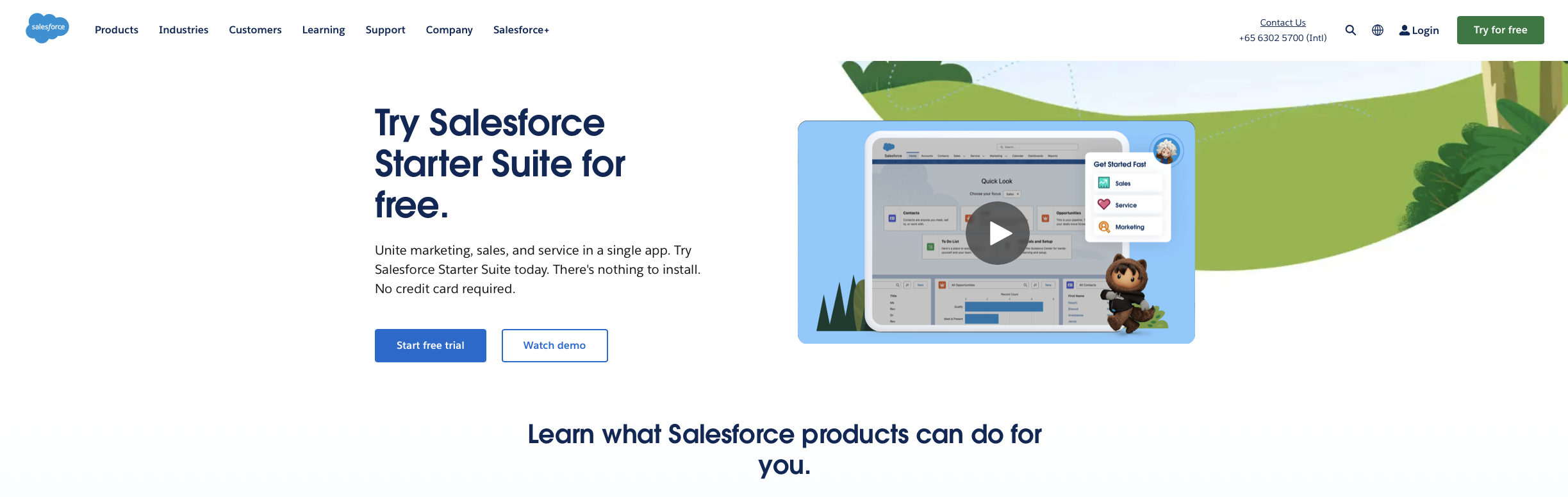 Salesforce website